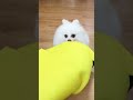 How much is the banana in the video? #funny #nico #dog #funnycute