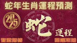 2025年 乙巳年 生肖運勢 蛇年十二生肖運程 —【肖蛇】 | 概括運程+四季時段出生 屬蛇運程 | 開運攻略 | 生肖運程 分析 | 戀愛、事業、正財、橫財、健康預測 | 生肖運程 增運