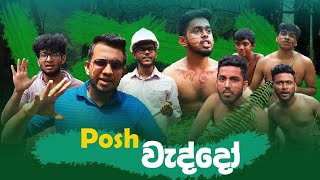 POSH වැද්දෝ | POSH Weddo | POSH Waddo | පොශ් වැද්දෝ  | Yami Boys | යmi BOYස්