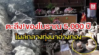 ตะลึง!ของโบราณ 5,000 ปี โผล่กลางทุ่งนาอ่างทอง#โบราณ #กรมศิลปากร #อ่างทอง