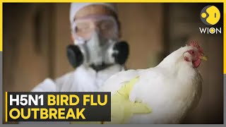 Bird Flu Outbreak: Is It Pandemic 2.0? | World News | WION