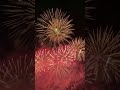 花火近すぎてもはや恐怖 花火 ショート動画 fireworks shorts