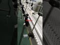 Maxsen food grade modular belt conveyor line testing with slow speed