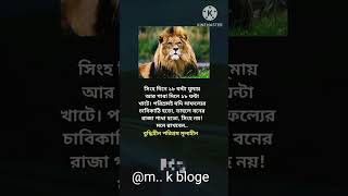 । সিংহ দিনে ১৮ ঘন্টা ঘুমায় আর গাধা দিনে ১৮ঘন্টা খাটে। @m.k bloge-sn1 en