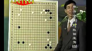 围棋名人名局06　王汝南（10集）