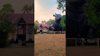 മഹാദേവന്റെ പ്രിയപ്പെട്ട നന്ദി 🕉️🙏 #viralvideo #nandhi #trending #Mahadheva #kerala #temple #iyumri