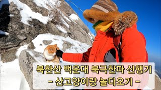 북한산 백운대 북극한파 산행기2부, 산고양이랑 놀다오기