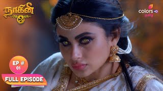 Naagini S3 | Ep. 1 | Shivani's Revenge