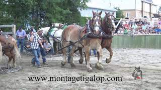 Festival Honéquestre, 2019 , Tir de chevaux, 3401 et plus, 6000lb