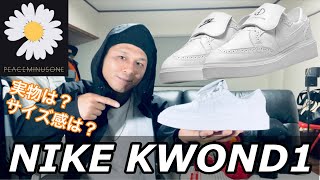 【スニーカー】NIKE KWOND1をSNKRSでゲットしたのでレビュー‼️