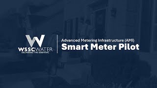 AMI Smart Meter Pilot: Inside Meter Install