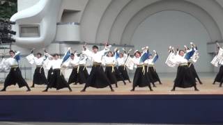 原宿スーパーよさこい2016 ～ 東京学生 生っ粋 (3)