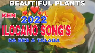 BEAUTIFUL PLANTS/ken 2022 ILOCANO SONG'S DA BES A TALAGA/mrs.mapalad