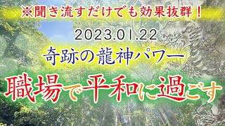 【依頼が2番目に多い❗️】龍神様のパワーで、職場で平和な日々を❗️！