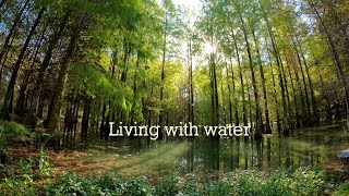 《Living with Water》 Documentary Highlights