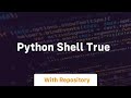 python shell true