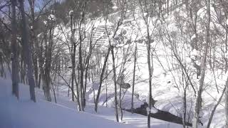 特急 大雪号 車窓 キハ183