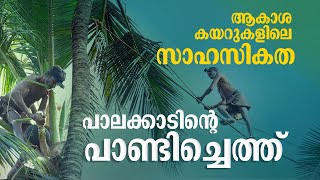 'റിസ്‌ക്കാണ്, കാണുമ്പോള്‍ തന്നെ പേടിയാകും'; അത്ര സിംപിളല്ല പാണ്ടിച്ചെത്ത്, കള്ള് വരുന്ന കഥയറിയാം