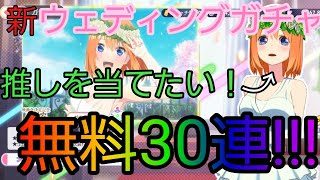 【ごとぱず】新 ウェディングガチャで推しを当てる！【五等分の花嫁】