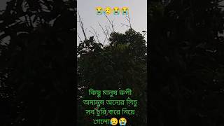 এরা মানুষ নয়, মানুষ রুপী বিবেকহীন 😭😭 #subscribe #viral #islamic