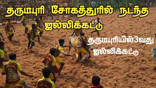 தருமபுரியில் 3வது ஜல்லிக்கட்டு சோகத்துரில் நடைபெற்றது | Dharmapuri Jallikattu 2022 _part3