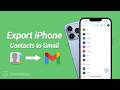 How to Export iPhone Contacts to Gmail (iOS 15/16/17/18 Compatible) - Full  Guide