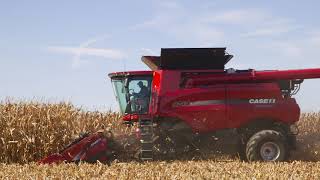 Case IH Narrow Row Corn Head