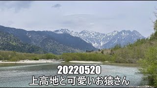 20220520 上高地と可愛いお猿さん