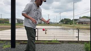 kendama sasayama スイーツスペシャル : 篠山けん玉