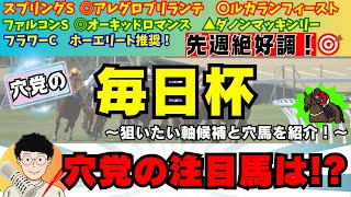 【穴党の毎日杯2024】【先週◎アレグロブリランテ ◎オーキッドロマンス🎯】穴党が毎日杯で狙いたい馬を紹介！