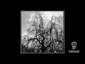 Colin Stetson and Sarah Neufeld | "Won't be a thing to become"
