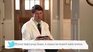 Vets Read Bad Pet Advice: Part 3