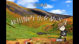 登山初心者が秋田駒ケ岳を登る  【駒ケ岳PR動画】