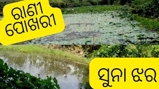 ରାଣୀ ପୋଖରୀ/ସୁନା ଝର/a beautiful picnic spot/Irrigation dam,teligad/jajpur