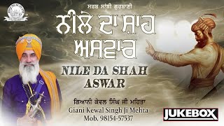 Kavishari Giani Kewal Singh Ji Mehta - Nile Da Shah Aswar - Shabad Gurbani Kirtan