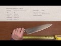 Masamoto VG Gyuto 210mm Quick Look