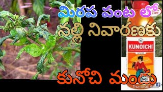 FEEDBACK OF  KUNOICHI PRODUCT(MITES CONTROL) || FARMER SREENU VASULU