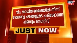 നിപ ബാധിത മേഖലയിൽ നിന്നും ശേഖരിച്ച പഴങ്ങളുടെ ഫലം നെഗറ്റീവ് | Nipah Virus