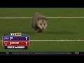 opossum gets dragged off the field during college football game