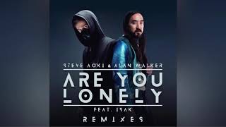 Steve Aoki And Alan Walker - Are You Lonely Feat IsÁk Steve Aoki Remix