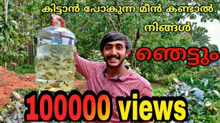 കുപ്പി ഉണ്ടെങ്കിൽ എളുപ്പത്തിൽ മീൻ പിടിക്കാം|simple fish trap with plastic bottle|Mr.shajikochu