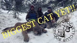 RECORD BOOK COUGAR - BOONE AND CROCKETT [GRAPHIC]