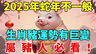 屬豬人必看！2025年蛇年不一般，生肖豬運勢運程有巨變！不跟你開玩笑！【智者明心】#生肖 #運勢 #命理 #屬相 #風水