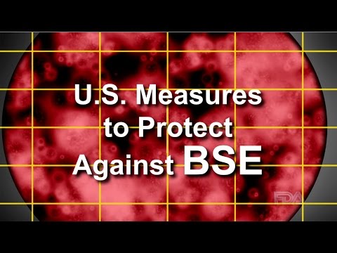 U.S. Measures to Protect Against BSE U.S. Measures to Protect Against BSE