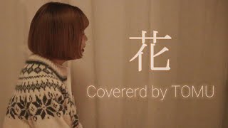 花/中 孝介【Covered by TOMU】