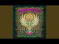 A Lotus on Irish Streams (Live at The Warfield, San Francisco, CA, 12/8/2017)