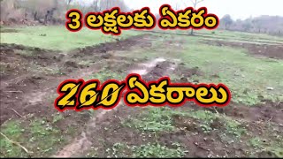 3 లక్షలకు ఏకరం|260 ఏకరాలు అమ్మబడును|low price agricultural land for sale in telangana|maharashtra|