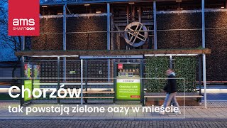 Zielony Przystanek przy Tężni - tak powstała niezwykła EKO wiata AMS I ams.com.pl