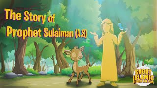 The Story Of Prophet Sulaiman (A.S) | English Islam Stories For Kids