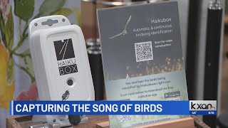 Birders get help from neural network finding unusual Central Texas birds